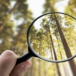 معرفی دقیق کاربرگ‌های آموزشی کلاس اول